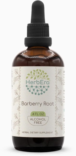 [BRSWGYYCAQPRSE3O] Barberry Root B120 alkoholfri urteekstrakt Tinktur, konsentrert flytende dråper naturlig barberry (Berberis Vulgaris) (4 fl oz)