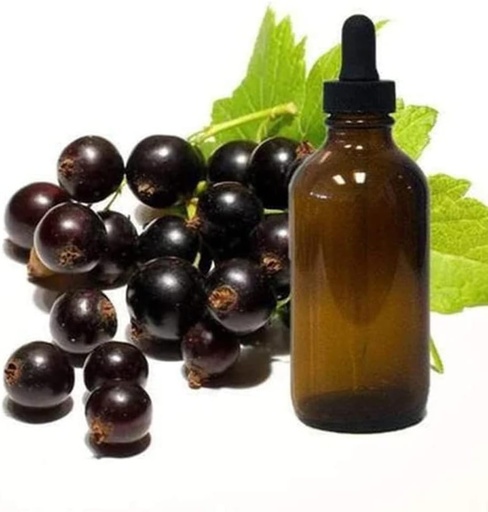 [BRSROYAFDMNBGETF] Black Currant Seed Oil 1/4oz Sample