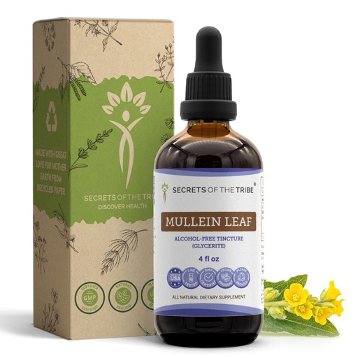 [BRSWGY36PMIGY2TZ] Secrets of the Tribe Mullein Leaf Tincture Alcohol-Free Liquid Extract, Mullein (Verbascum thapsus) (4 FL OZ)