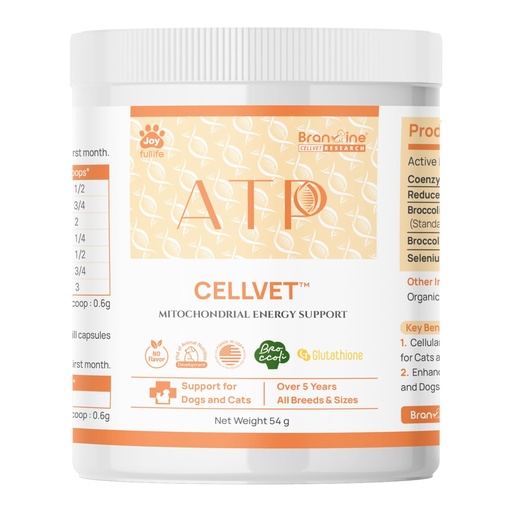 [BRSREAIBDMFQGCI6] ATP CellVet Endurance & Energy Support for Cats and Dogs - Coenzyme Q10, Reduced Glutathione, Broccoli Seed Extract Glucoraphanin (54g)