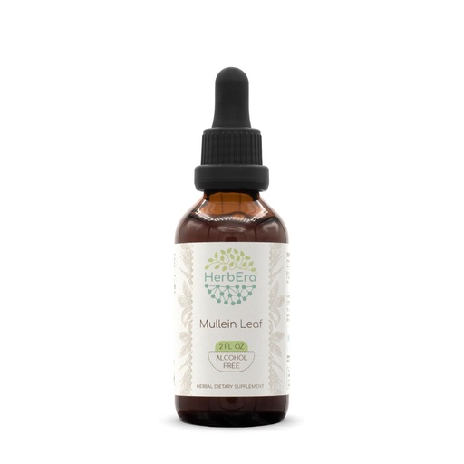 [BRSWGZ3RA4JRG2T2] HerbEra Mullein Leaf B60 Alcohol-Free Herbal Extract Tincture, Super-Concentrated Mullein (Verbascum thapsus) Dried Leaf (2 fl oz)