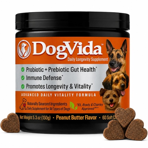 [BRSRECQQOYOQKDIY] Dog Multivitamin Soft Chews with Probiotics & Omega 3 for Gut, Immune & Skin Support - Daily Wellness Treats for Dogs of All Breeds & Sizes - Peanut Butter Flavor, 60 Count, Made in USA