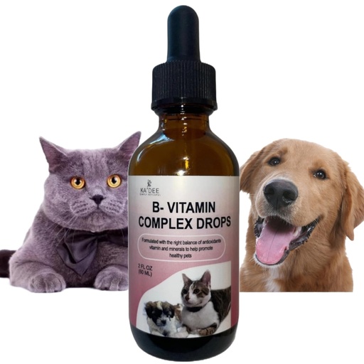 [BRSROAIFCIFBAHQU] Liquid Vitamin B-12 Complex Drops for Dogs and Cats - Nutritionally Balanced Vet Formulated - Energy, Appetite, Mood - Recovery - Helps Cognition and Brain, Joints, Skin, Digestion