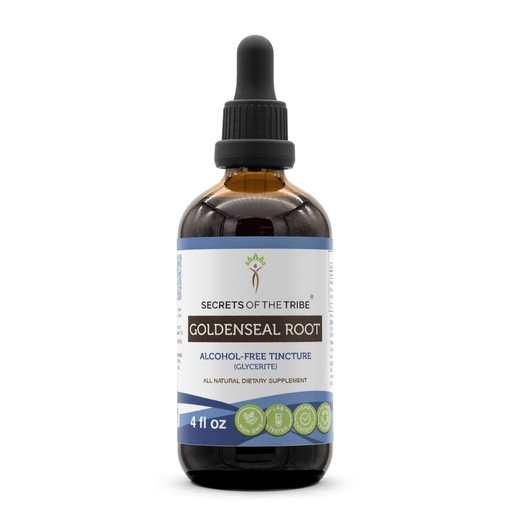 [BRSWGEAHCR5GE3IV] Secrets of the Tribe Goldenseal Root Liquid Extract for Immune & Digestive Support | Herbal Supplement | Alcohol-Free | Hydrastis Canadensis Dried Root | Drops 4 fl oz