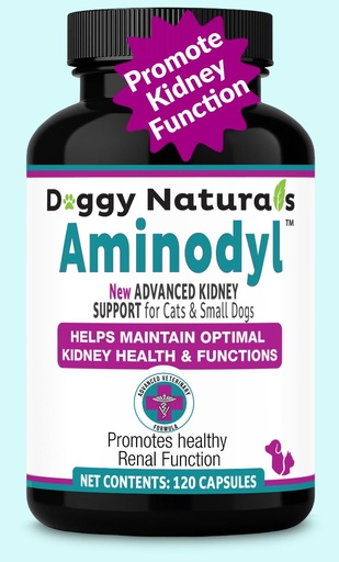 [BRSREAD2PMJWEYDG] Aminodyl™ Kidney Support Supplement 400mg for Cats & Small Dogs - Supports Natural Kidney Function with Amino Vastly Promotes Health, Wellbeing & Vitality of Kidneys - 120 Sprinkle Capsules. U.S.A