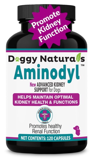 [BRSREAD2PMPAKALJ] Aminodyl™ Kidney Support Supplement 1100mg for Dogs - Supports Natural Kidney Function with Amino Vastly Promotes Health, Wellbeing & Vitality of Kidneys 120 Sprinkle Capsules. Made in U.S.A