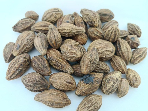 [BRSRYZAZOIHAKYIZ] Badi Harad Whole-Aralu | Inknut | Haritaki | Kadukkai-Harar-Terminalia.Chebula-Karakkaya(Pack of 1) 50g