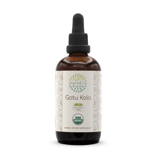 [BRSROAY3CQCQMCY6] HerbEra Gotu Kola B120 USDA Organic Tincture | Alcohol-Free Extract, High-Potency Herbal Drops | Certified Organic Gotu Kola (Centella asiatica) Dried Herb (4 oz)