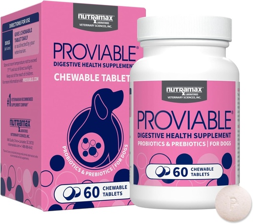 [BRSWYEA6OUAQIGTA] Nutramax Proviable Probiotics for Dogs, Daily Digestive Health תוסף עם מספר סטרינס של Bacteria, כלב Probiotics Plus Prebiotics, 60 טבליות צ'וגבל