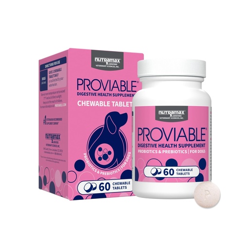 [BRSWYEA6OUAQIGTA] Nutramax Proviable Probiotics for Dogs, Daily Digestive Health Supplement with Multiple Strains of Bacteria, Dog Probiotics Plus Prebiotics, 60 Chewable Tablets