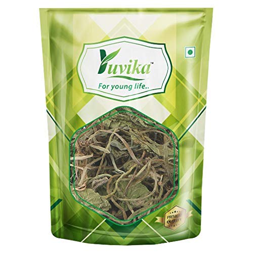 [BRSWYBANAEGWEEQ4] YUVIKA Brahmi Booti - Gotu Kola - Bacopa Monnieri Linn - Indian Pennywort (100 Grams)