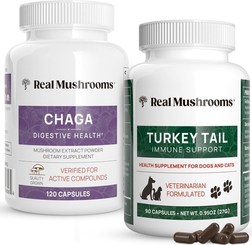 [BRSRMYI2CMHQA3DH] Real Mushrooms Chaga for Humans (120ct) & Turkey Tail for Pets (90ct) - Bundle for Digestive Health and Immunity - Vegan, Non-GMO, Grain-Free, Gluten-Free Mushroom Extract Capsules