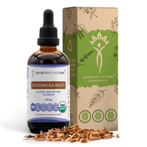 [BRSRMAQNCAJWE3Q3] Echinacea Root USDA Organic Tincture | Alcohol-Free Extract, High-Potency Herbal Drops, Immune System Health | Made from 100% Certified Organic Echinacea Root (Echinacea Purpurea) 4 oz