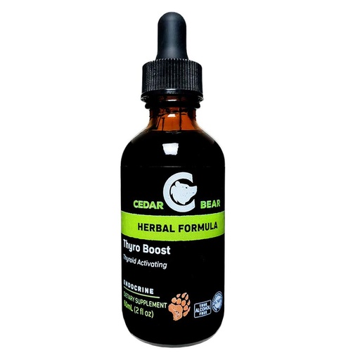 [BRSWKEL7CYMB4EIZ] Cedar Bear Thyro Boost Liquid Herbal Supplement, 2 Fl Oz | Alcohol-free liquid herbal blend with botanicals for daily wellness and urinary tract balance. 2 fl oz.