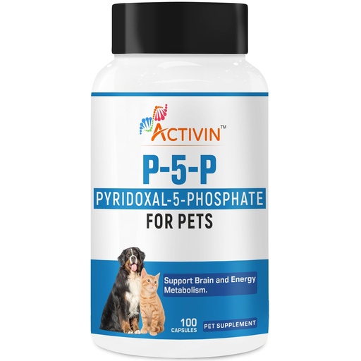 [BRSRGFIZDN7WMDYY] P 5 P Vitamin B6 for Dogs and Cats | Support Metabolism & Nervous System | Helps Support Energy Metabolism | 100 Capsules.