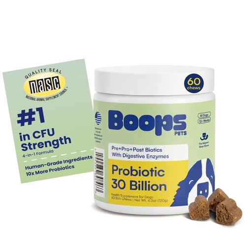 [BRSRGZAKCEFQAHQU] Probiotics for Dogs – 30 Billion CFU with Pre, Postbiotics & Digestive Enzymes – Supports Gut Health, Immunity, Loose Stools & Allergies – Filet Mignon Flavor – Vet Formulated – 60 Chews