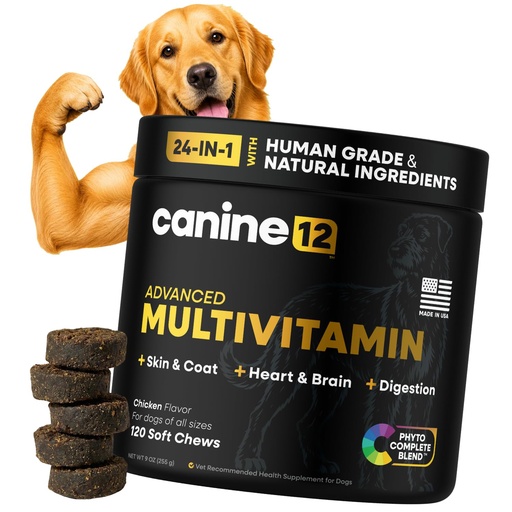 [BRSRGGICO4HAO3Q3] Dog Multivitamin, 24-in-1 Chewable Supplement, Probiotics, 120ct | Vitamins A, B, C, D, and E for Skin and Shiny Coat, Digestive Health Blend, Heart and Eye Health, Daily Chew, Chicken Flavor