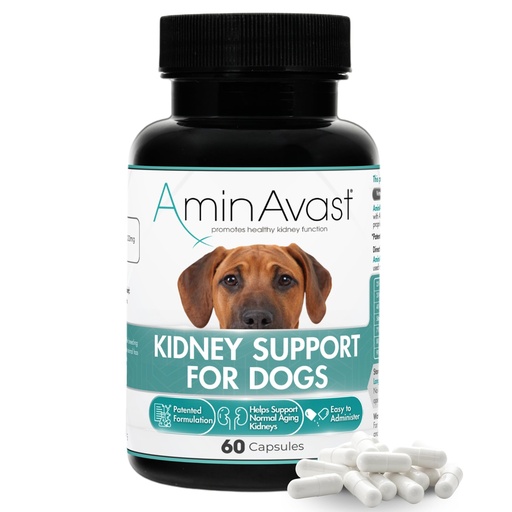 [BRSWKYIBOICQEHIV] AminAvast Kidney Support for Dogs Over 20lb, 1000mg, 60 Sprinkle Capsules