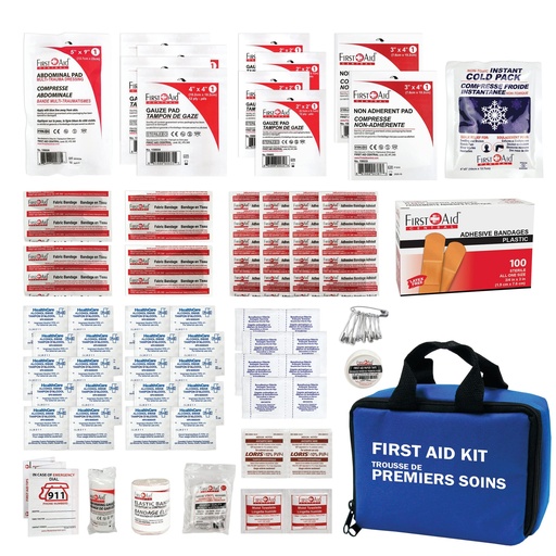 [BRSROYALAEHGCGTK] First Aid Central AZ-EDFAK Everyday Emergency First Aid Kit For Home, Travel, and Work, 185 Pieces