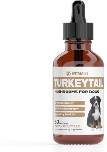 [BRSROGIKOAIGADYV] Turkiet Tail Mushroom för hundar | Hjälper till att öka immunsystemet, är ett hälsosamt prebiotikum och mycket mer | Turkiet Tail för hundar | Svamp för hundar | Dog Mushroom Supplements | 1 fl oz