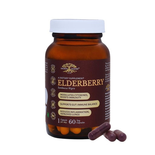 [BRSREFTQDJ6WMG3O] Elderberry Extract 500 mg, Immune Support Supplement