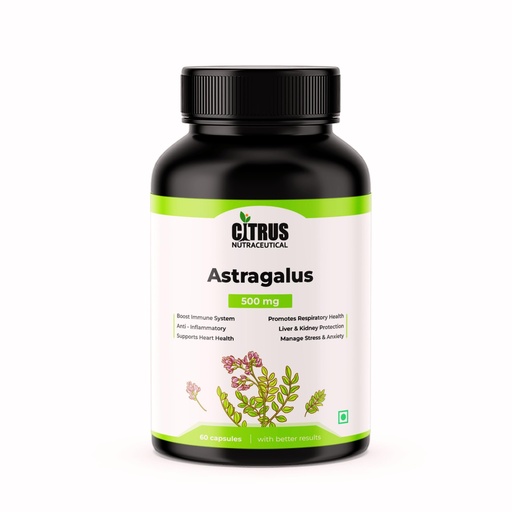 [BRSRA23RAEIAEYLG] Astragalus Root Extract 500mg