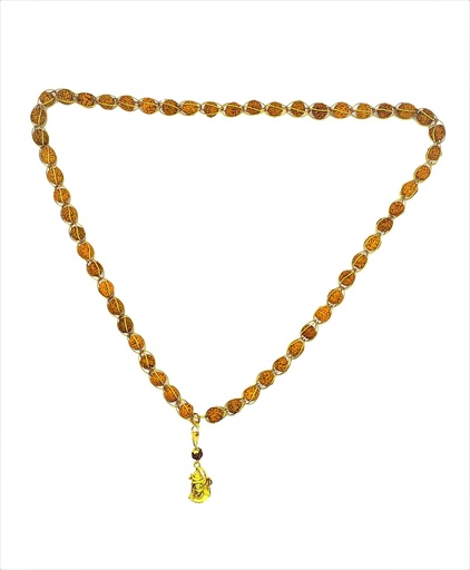 [BRSWYAAROJYR6HT6] Lord Shiv Shankar Mahadev Shiv Shakti Rudraksha Pendant with Rudraksha Wired Mala for Self Empowerment
