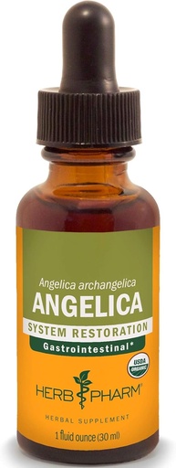 [BRSWIYTYC4BB22TI] Extracció d'aversitaris d'Angelàl·lic Angel Root per al suport organitzada, 1 Oz