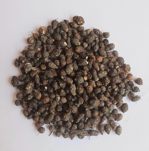 [BRSREEAFOZ7BQCLV] NAGARMOTHA ROOT 100g | Agatsya Musta Root | Cyperus rotundus | Nut grass | Bhadramusti | Pure Herb | No added Colour & Preservative |