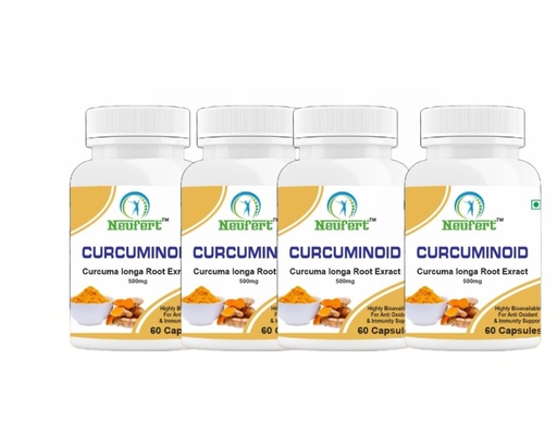 [BRSRAYD2OYOWAG33] Curcumin Capsule (Pack Of 4) (4)