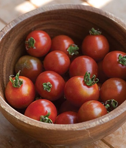 [BRSRAGAYCINBAEL7] Willvine Sweetheart Of The Patio Hybrid Tomato 120 Seeds for Planting