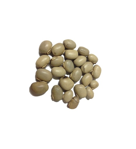 [BRSWGHT4AQMWGGT4] White Kapikachu (Tella Dulagondi) 100G
