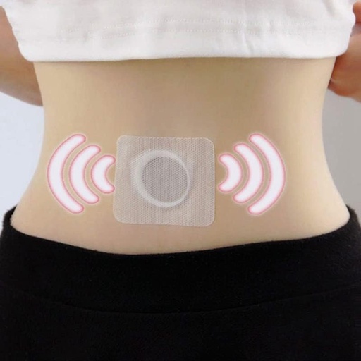 [BRSRGYIBAAOQKH3L] Zarini Belly Fat Burning Patch – Weight Loss Slim Patch, Detox Slimming Pads for Quick Fat Reduction | 10 pcs