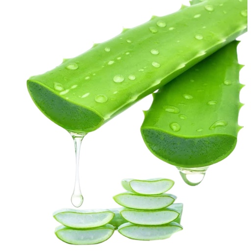 [BRSRMZY2BYNRQAY7] Freshly Harvested Green Organic Aloe Vera Leaf - Fresh Green Aloe Vera Leaf for Natural Wellness, Haircare, and Skincare - Extract Your Own 100% Pure and Chemical-Free Aloe Vera Gel - 1 Kg
