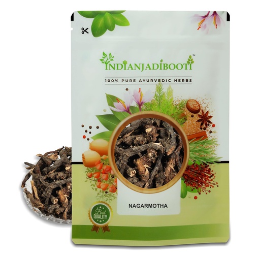 [BRSWGEIYPN7QKCLA] IndianJadiBooti Pure Nagarmotha Roots (Whole Mustak/Cyperus Rotundus) | Raw Nutgrass Tubers for DIY Hair Oil, Digestion & Herbal Decoctions (250 Grams)