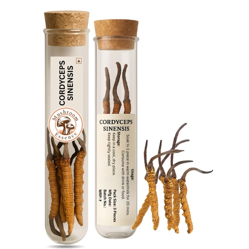 [BRSRGCQ3CN7WAETO] Kida Jadi Buti Original Whole Dried 12 Pcs -3gm | Naturally Dried Himalayan Yarsagumbha | kida jadi | keeda jadi | No Additives | Authentic & Pure Keeda Jadi Buti Caterpillar Fungus Cordyceps Sinensis