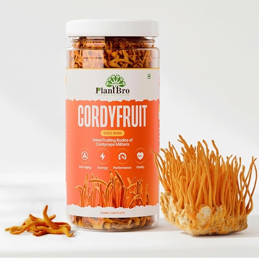 [BRSRMAQBC4CBMYL6] CordyFruit – 100% Raw Cordyceps Militaris Fruit Bodies | Natural Energy & Stamina Booster | Immunity, Endurance & Vitality Support | No Fillers, Pure Mushroom Superfood – 30g