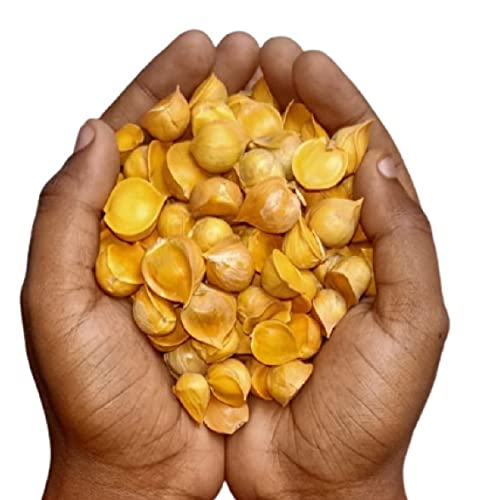 [BRSROYD6CQFQGCL5] AF NOMAN Organic Natural Kashmiri Garlic Lehsun | Himalayan Single Clove Garlic Grade-A Qualilty 200 Gram | Organic Product