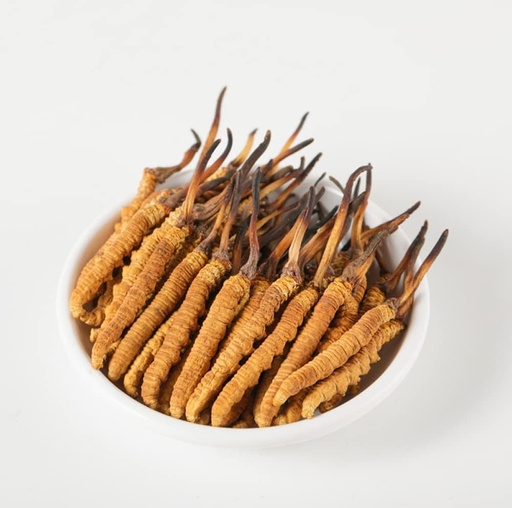 [BRSRAFD6DF6B6C3H] Wild Cordyceps, Whole Himalyan Cordyceps Sinensis Mushroom, Genuine and Very Rare, High Grade, Boost Energy, Reduce Stress for Men and Women, 5 Grams (13+17pic) from Lamjung Nepal Keeda Zadi