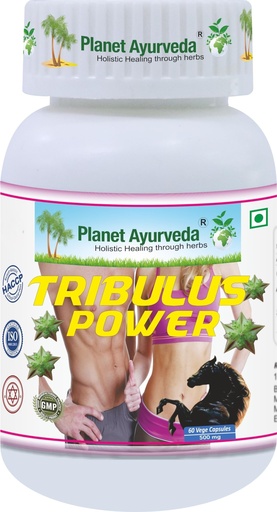 [BRSRABL2CABAK3TB] Planet Ayurveda Tribulus Power- Herbal Supplement, 60 Capsules - Gokshur Extract (Tribulus terrestris), 500 mg, Vegetarian