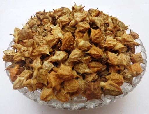[BRSWGFATB4HWKEQY] Gokhru Bada - 250Grm - Pedalium Murex - Large Caltrops - Land Caltrops - Gokharu - Gorkhu Seed- Gokshura - गोखरू बड़ा - Gorakhu