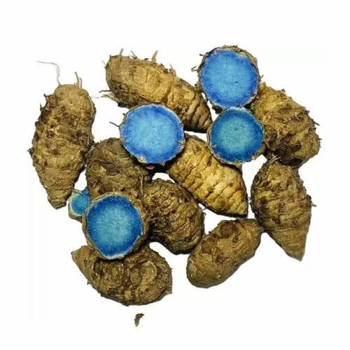 [BRSRAALQBYOQAHT5] Kali Haldi (Root, 100 Gm) / Black Turmeric/Narkachur/Narkachoor