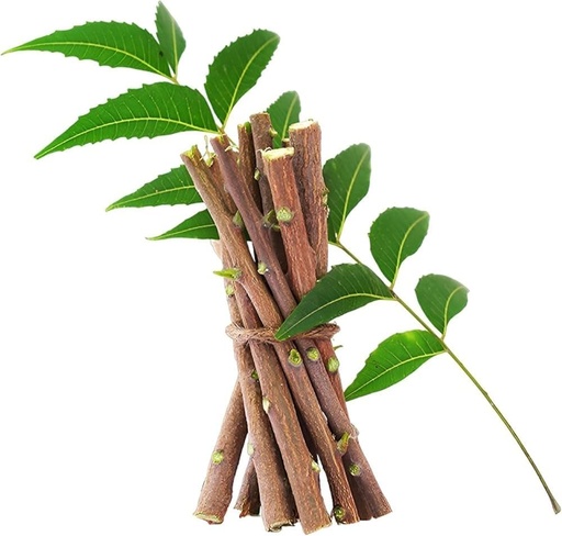 [BRSRGZYQOB5QGCTX] organic Neem stick for teeth brush | Neem Datun stick | pure ayurvedic natural and organic | (pack of 20)