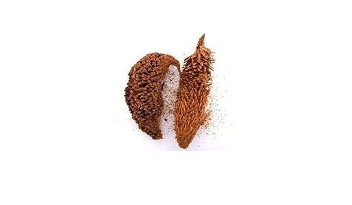[BRSRMBQNCF6RMAI2] மதனகாமப்பூ / Madhanakama Poo / Queen Sago / Jangli Madanmust Ka Phul 350g by Amirtham Organic Foods