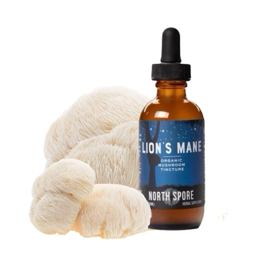 [BRSRAGQFCAMWYDTO] North Spore Organic Lion's Mane Mushroom Tincture (2 oz) | 100% Fruiting Body Extracts | for Focus, Memory, Brain Support | Certified Organic, Vegan, Non-GMO | Adaptogenic, Nootropic | Made in USA