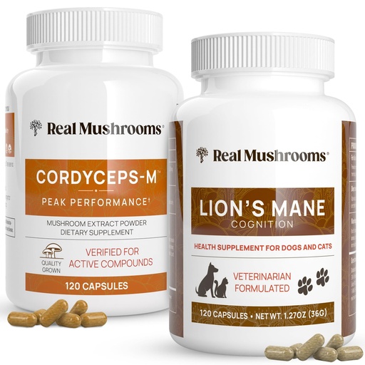 [BRSRMYLYCADRYFLZ] Real Mushrooms Cordyceps for Humans (120ct) and Lions Mane for Pets (120ct) - Bundle for Energy, Vitality & Cognition - Vegan, Non-GMO, Gluten-Free, Grain-Free Mushroom Extract Supplements
