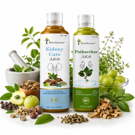 [BRSRYEL6BYMQECY4] Four Seasons Ayurveda Kidney Care Juice + Patharchur Juice Combo | Ayurvedic Herbal Juice for Kidney & Urinary Wellness Support | Natural Herbal Drink | Daily Wellness