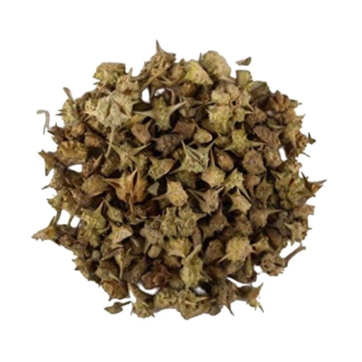 [BRSWYCABCEIWYHIV] TRH Gokhru Bada - Pedalium Murex - Large Caltrops - Gokhroo Bada - Land Caltrops - Gokharu - Gorkhu - Gokshura (200 gm)