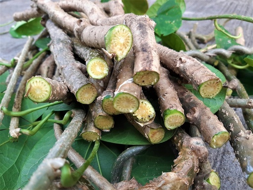 [BRSROHQ2OV5AOHLB] Farmfresh Giloy Sticks/Stems (Giloy Sticks/Stems, 300 G) by Grandmother's recipe.