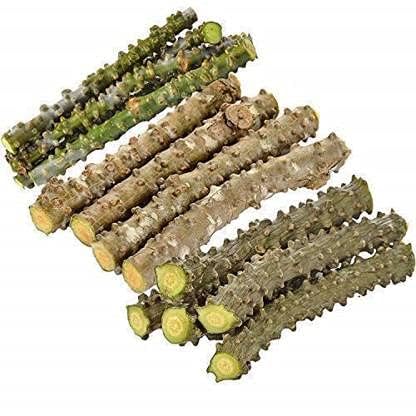 [BRSRACA7BN4BQ2DF] kb Natural Giloy Neem Tree Guruch Gulvel Guduchi Fresh Plant Stems Sticks Giloya Bel (7-inch) Set of 10